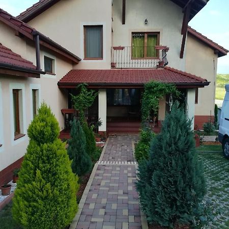 Casa Doina Lägenhet Băile Felix Exteriör bild